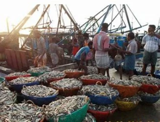 17-new-fisheries-clusters-launched-under-pmmsy-ufju1-ltuwj.webp