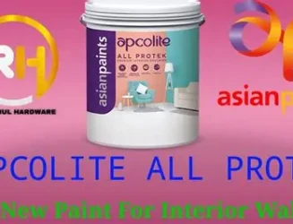 asian-paints-apcolite-all-protek.webp