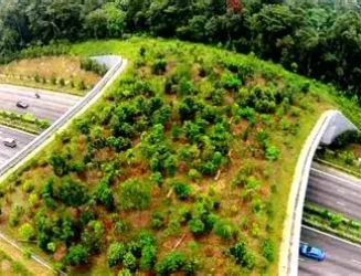 delhi-mumbai-expressways-wildlife-haven.webp