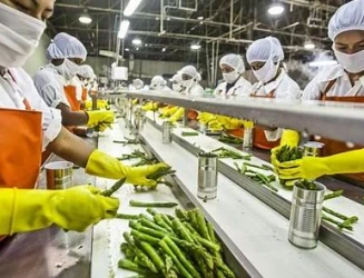 food-processing-life-sciences-facility-at-angamaly-kerala.webp