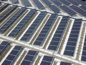 galo-solar.webp