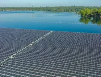oip-50-an5lg-ocwxp.webp