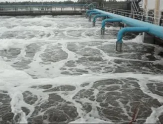 punes-sewage-project.webp