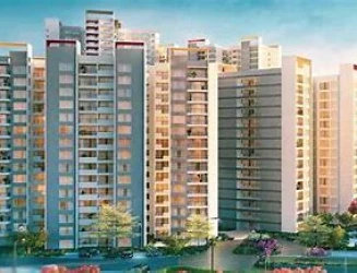 shapoorji-pallonji.webp