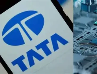 tatas-chip-plant.webp