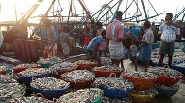 17-new-fisheries-clusters-launched-under-pmmsy-ufju1-ltuwj.webp