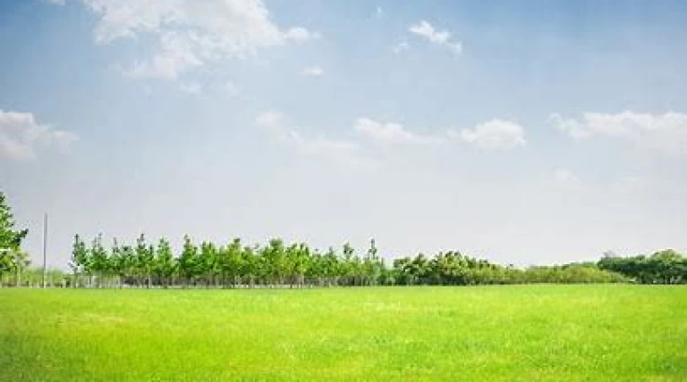 a-land-parcel-in-kurla.webp