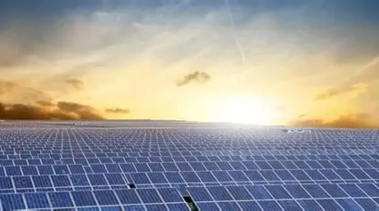 acme-solar-wins-50-mw-fdre.webp