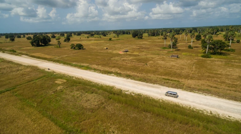 aerial-shot-road-surrounded-by-grass-covered-fields-captured-zanzibar-africa.webp