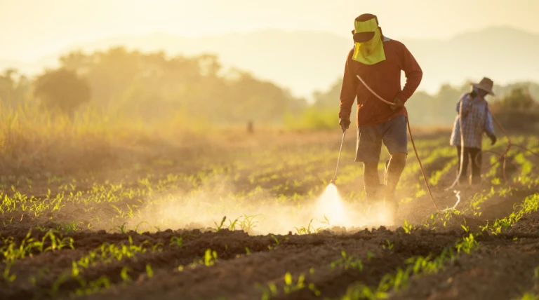 asian-farmer-working-field-spraying-chemical-qvtzz-7v5xo.webp