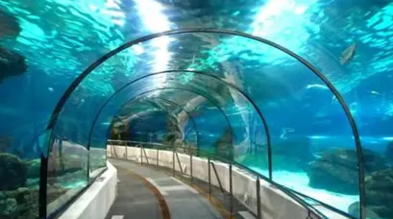 assams-first-underwater-tunnel.webp