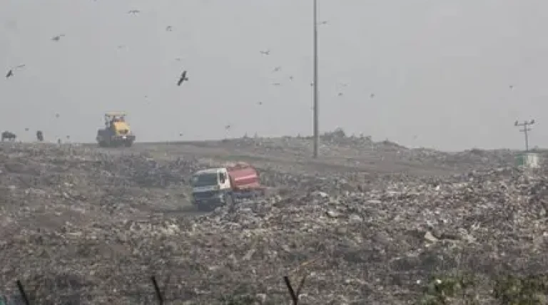bmc-awards-deonar-landfill-bioremediation-contract-to-navayuga-engineering.webp