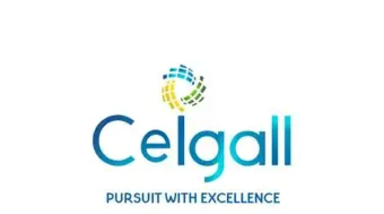 ceigall-india-bp9tb-uxr9s.webp