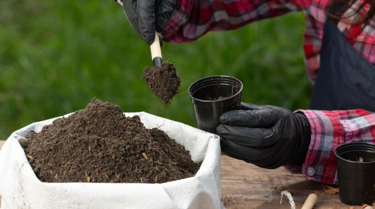 closeup-picture-gardener-s-hands-planting-plant.webp