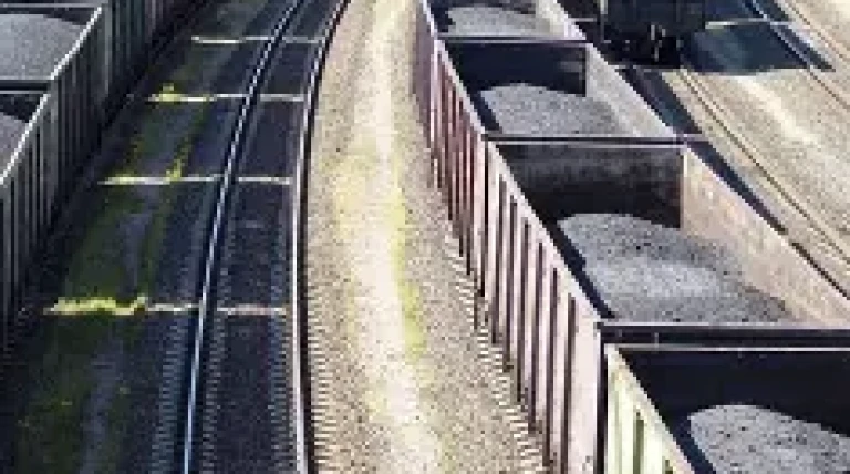 coal-india-njwl0-euqhe.webp