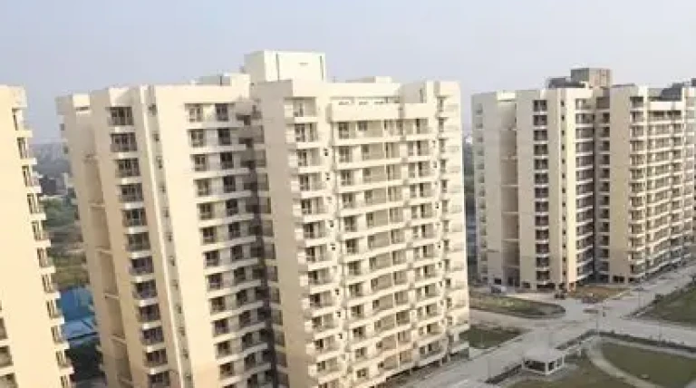 delhi-devpt.webp