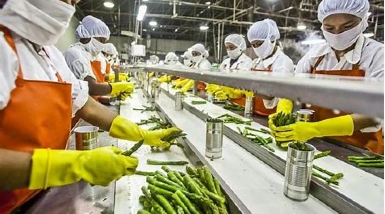 food-processing-life-sciences-facility-at-angamaly-kerala.webp