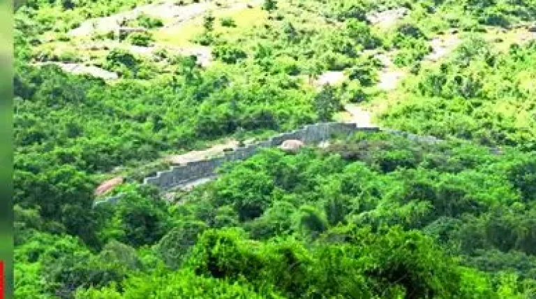 forest-hurdles-for-irrigation-projects.webp