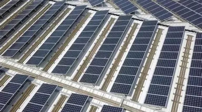 galo-solar.webp