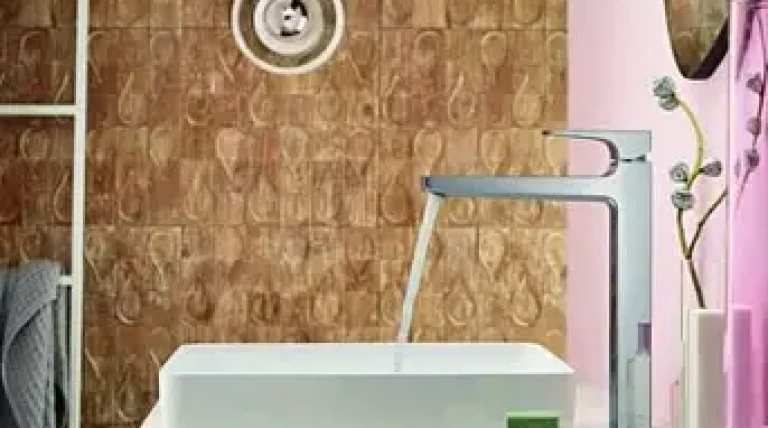 german-firm-hansgrohe.webp