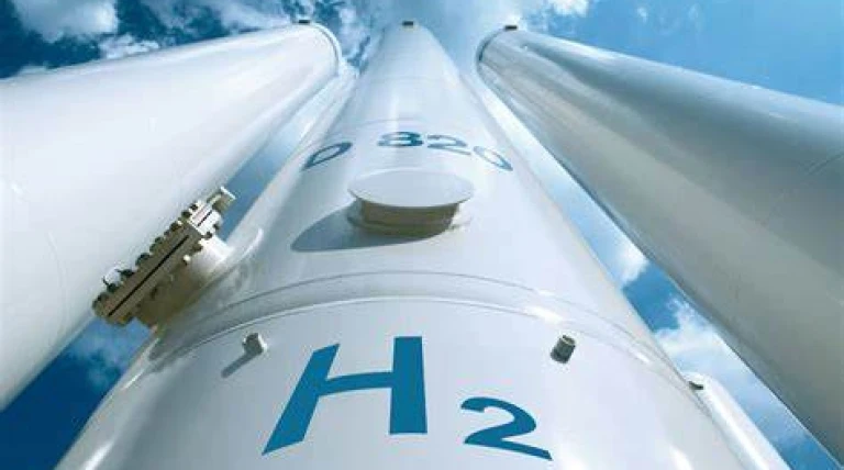 green-hydrogen-and-ammonia-sector.webp