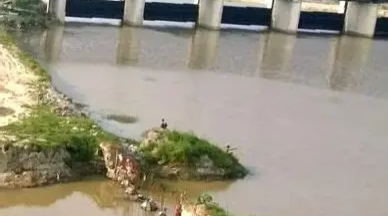 haider-canal-stp.webp