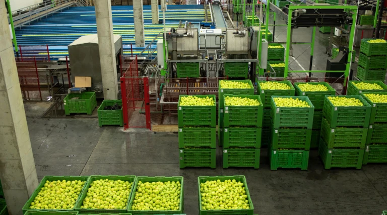 interior-view-fruit-processing-factory-with-machines-washing-sorting-apples.webp