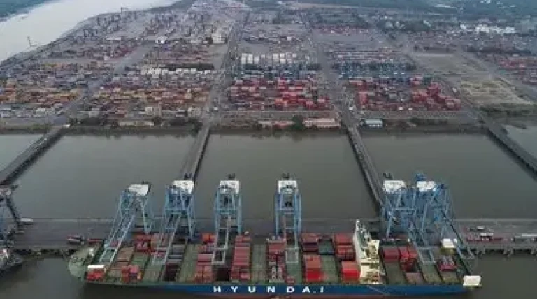jnpt.webp