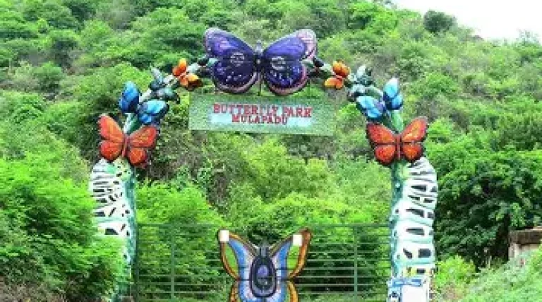 jungle-safari-set-for-launch-at-mulapadu-butterfly-park.webp