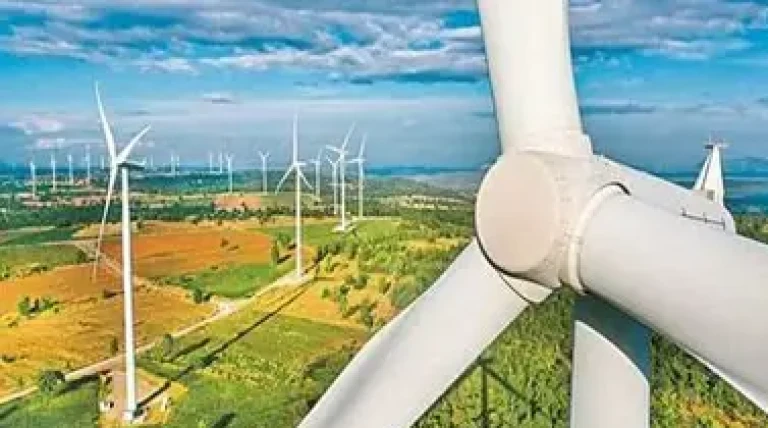 juniper-green-energy-tu7ff-071dq.webp