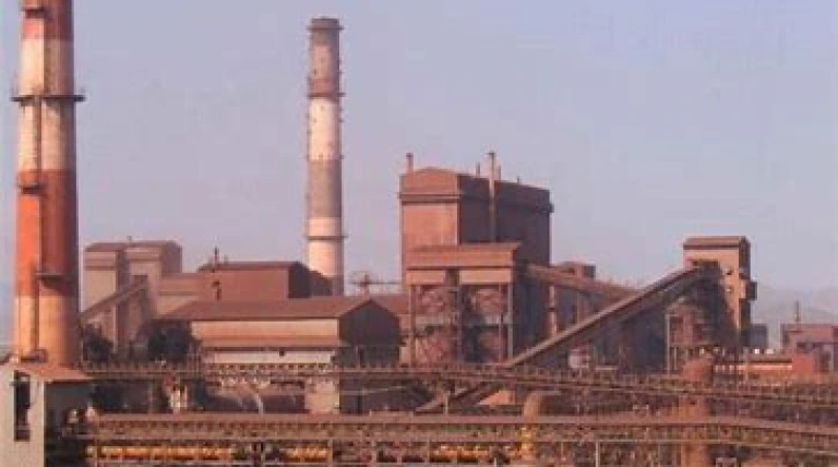 karnatakas-visvesvaraya-plant.webp