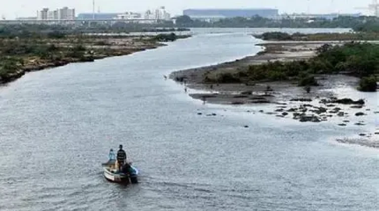 kosasthalaiyar-river-in-chennai.webp