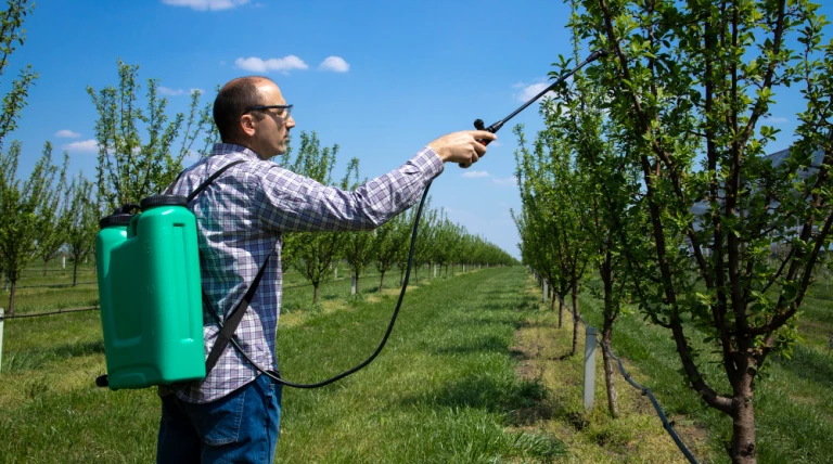 male-agronomist-treating-apple-trees-with-pesticides-orchard-zck73-w6dcn.webp