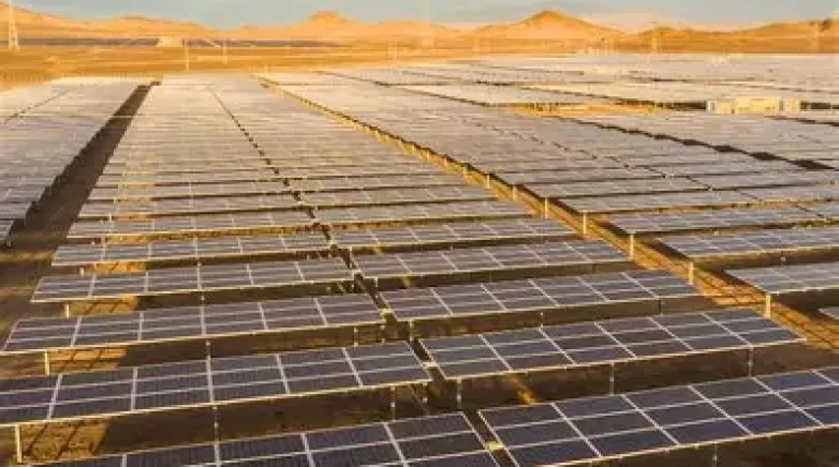 msedcl-for-190-mw-solar-power-projects.webp