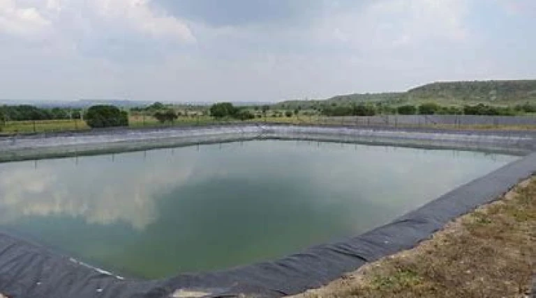nellore-to-restore-220-irrigation-ponds.webp