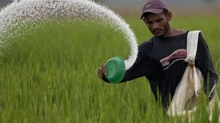 new-fertilizer-plant-sprouts-in-assam.webp