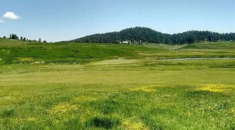 oip-37.webp