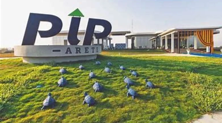pip.webp