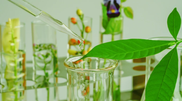 pipette-dropping-test-tube-sample-chemical-into-herbal-plants.webp