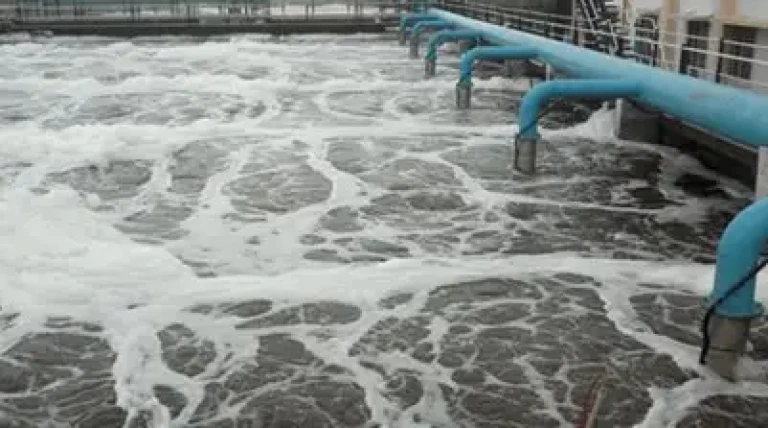 punes-sewage-project.webp