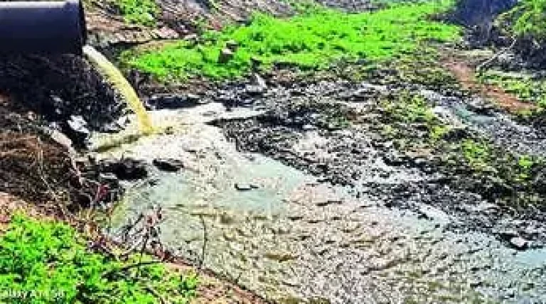 stop-sewage-flow-into-vaigai-river.webp
