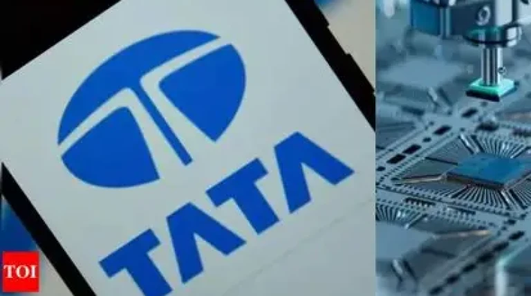 tatas-chip-plant.webp