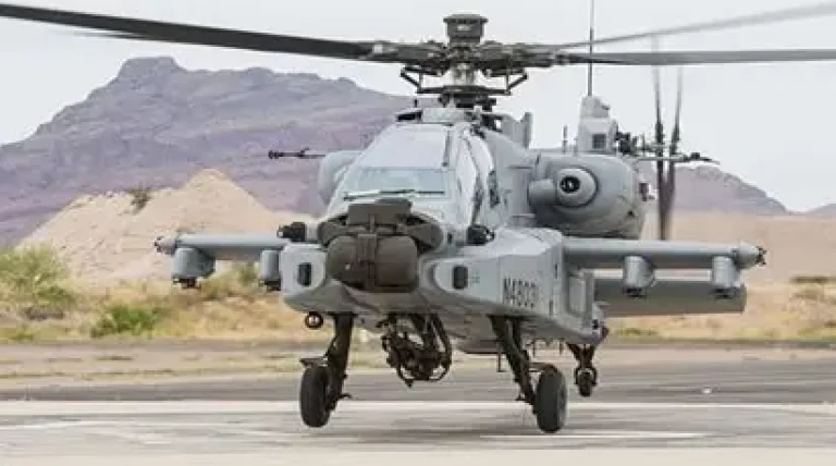 th-35.webp