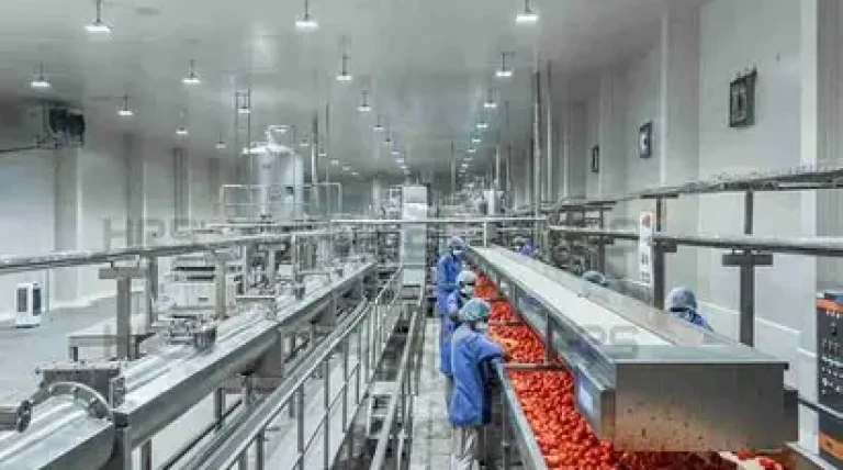tomato-processing-unit-in-kurnool-to-begin-operations-in-coming-months.webp