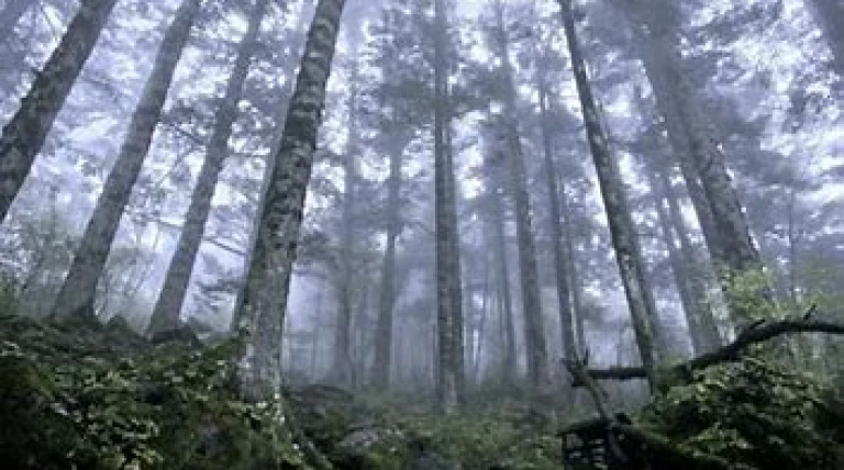 tourism-boost.webp