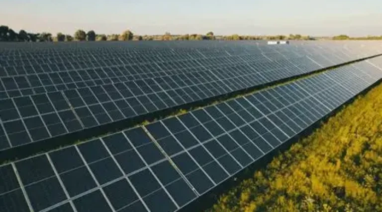 waaree-signs-ppa-with-rumsl-mppmcl-for-150-mw-solar-power.webp