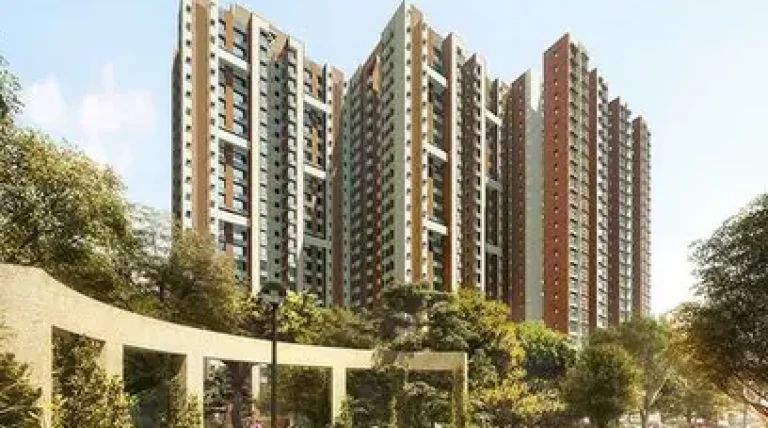 wadhwa-construction.webp