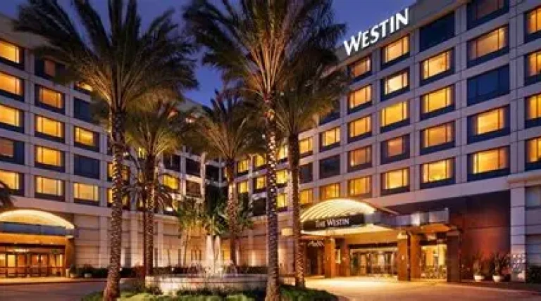westin-hotels-in-ludhiana.webp